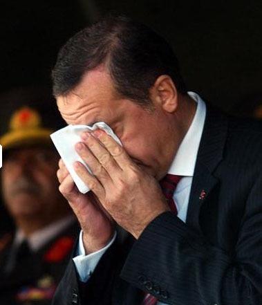 Hakkndaki mahkeme karar nedeniyle 3 Kasm 2002 seimlerinde milletvekili aday olamayan Erdoan, yaplan yasal dzenlemeyle milletvekili adaylnn nndeki yasal engelin kalkmas zerine, 9 Mart 2003'te Siirt ili milletvekili yenileme seimine katld. Bu seimde oylarn yzde 85'ini alan Erdoan, 22. Dnem Siirt Milletvekili olarak parlamentoya girdi.