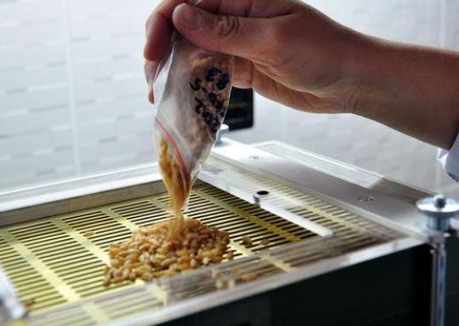 te modern Nuh'un gemisi! Svalbard Kresel Tohum Deposu / Norve    Norve'in Longyearbyen ehrinde bulunan bu deponun amac dnya zerinde bulunan tm bitkilerin tohumlarn korumak ve neslinin tkenmesini nlemek. Bir dan 130 metre derinliinde ve -18 derecelik sabit bir sda muhafaza edilen bitki tohumlar tm dnya lkelerinin tarm mirasn koruyor. nsanln ve gelecein sz konusu olduu bu depoya tek bir kiinin bile girmesine izin verilmiyor.