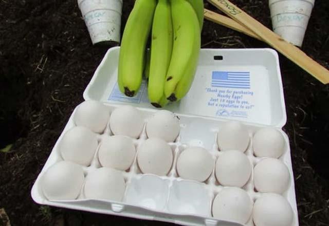 Yumurta kabuklarnn ierdii kalsiyum ve eitli mineraller topraa fazla miktarda mineral salyor.    Topran altna brakacanz i yumurta sayesinde topranz hem mineral kayna olacak, hem ektiiniz bitkilerin kklerinin rmesini engelleyecek hem de, ekmi olduunuz sebze ve meyvelerin verimliliini byk lde arttracaktr