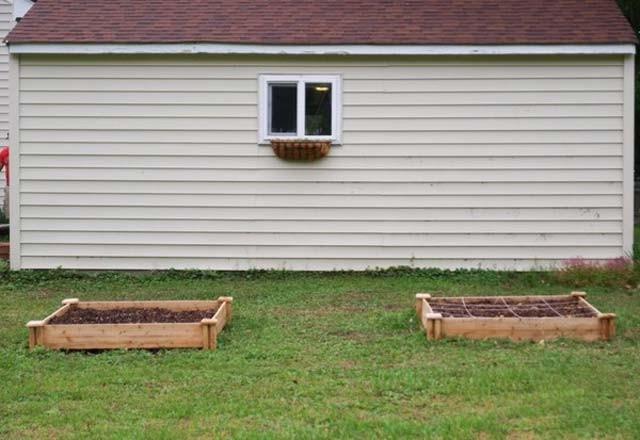 Denedikten sonra tek yapmanz gereken bitkilerinizin verimini izlemek.