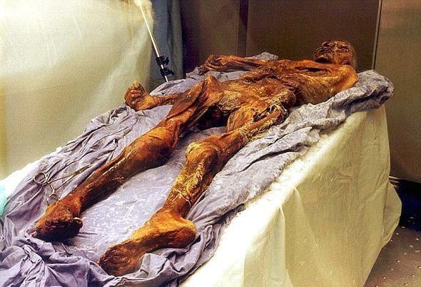 Mumyann bulunmasnn hemen ardndan, blge polisi derinlemesine inceleme balatt. Polis karakolunun yaknna ahap bir tabuta konularak yerletirilen 5 bin 300 yandaki mumyann, milattan nce 3 bin 350 ila 3 bin 100 yllar arasnda yaadn renen pek ok kii hayretler iinde kald.