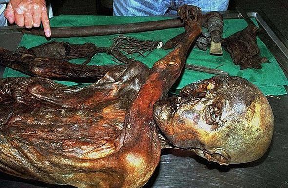 Yaklak 5 bin 300 yanda olduu tahmin edilen &#8216;tzi&#8217; adndaki mumya, hl bilim insanlarn bylemeye devam ediyor.