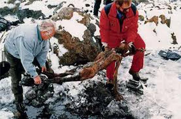Aratrmaclarn tezine gre, omzundan yaralanan tzi, daha sonra da kafasndan ald sert bir darbe sonucu lm olabilir.
