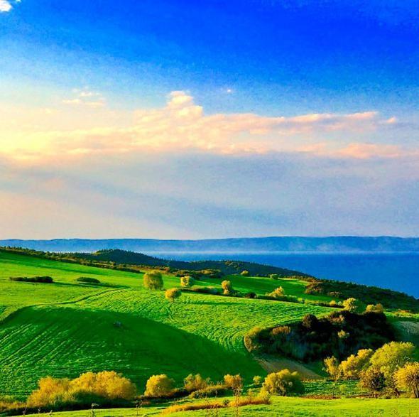 Bir sredir hayatn Yunanistan'da srdren ve Komu'da bir tiyatro oyununda oynayan yakkl oyuncu, hayalini kurduu iftlie sonunda kavutu. Hakk, anakkale'nin Gelibolu ilesindeki Gneyli Ky'nde satn ald 35 bin metrekarelik arsaya iftlik kurdu.