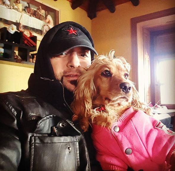 "imdi bahem, topram var. 6 kpeim, bir eeim, bir horozum, 30 tavuum, onlarca kedim var. Her eyden nemlisi sevdiim eylere ilgi gsterecek zamanm var. stanbul'da yaral bir kpek grdmde bezen istesem de onlara yardm edemiyordum. imdi barnak gibi bir yerim var. Hayvanlarn ba dertte olduunda onlarla ilgilenebiliyorum. Ceviz aacnn ne zaman ilalanacan, zeytin aacnn ne zaman nasl zeytin vereceini biliyorum"