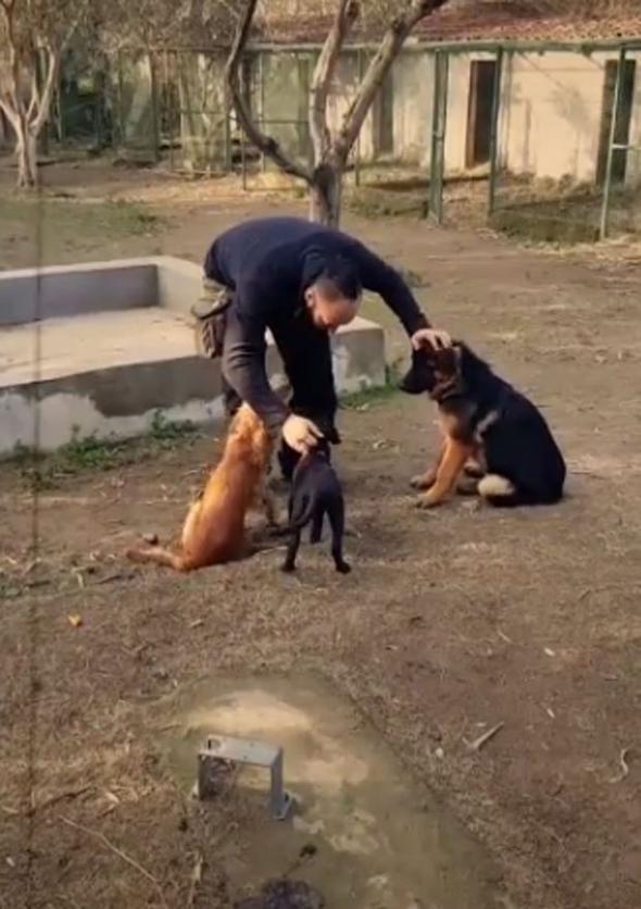 Tuba nsal ve Mirgn Cabas,gneye ka plan yapanlar arasna katld.Hayallerini ssleyen yer ise Ka.iftin Bodrum ve Alaat&#8217;dan ok daha sakin olan Ka&#8217;ta ev baktklar, bu isteklerinden yakn evrelerine de bahsettikleri renildi.