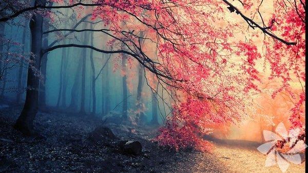 Farkl deneyim zincirleriniz bir araya geldiklerinde, sonu, en fazla bir uzayl kadar aina olduunuz bir eye benziyor genellikle. &#8220;Bu ounlukla tuhaf, bileim halindeki grseller, alglara sunulmuyor.&#8221; diyor Manchester niversitesinden aratrmac SueLlewellyn. &#8220;Tam olarak &#8216;gerek&#8217; deil; nk birka hatray ilikilendirerek bir araya getiriyor. REM uykusu srasnda, fenomenolojik dzlemde, bu bileik grsel, bir rya sahnesi olarak tecrbe ediliyor.&#8221;