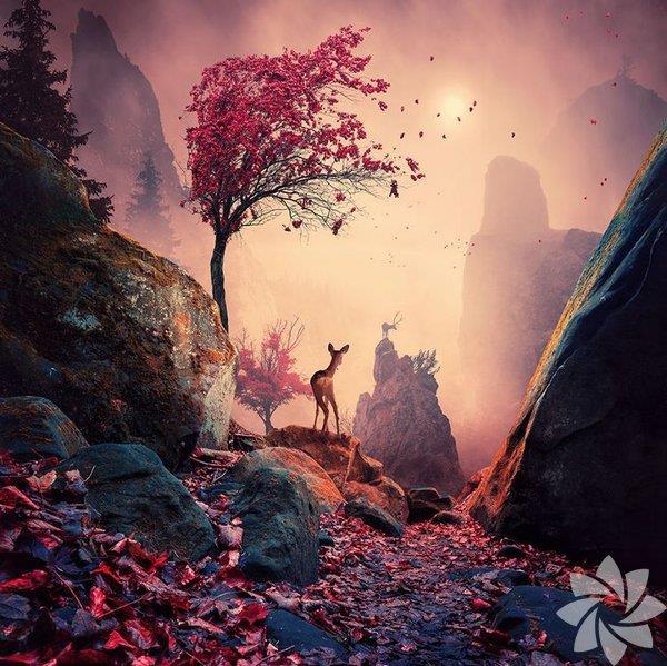 Ryalar hareket halindeki hatralarmzdr<br>    Bir yzyldan fazla bir zamandr aratrmaclar, uykunun hafzay &#8211; zellikle de uzun srekli bellein oluumunu &#8211;nasl destekliini ortaya karyorlar. u an ise sinirbilimciler, ryalardaki srekli deien imgelemlerin, hafzaya-atma srecinin bir yan rn olduuna inanmaya baladlar.