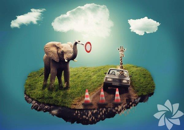 Ryalar veridirler  <br>  Ryalar, 1950 yllarnda Chicago niversitesinden aratrmaclar Eugene Aserinsky ve Nathaniel Kleitman&#8217;n uykunun REM evresi olarak bilinen kefi yapmalar ile deneysel aratrmalarn kapsamna girmeye balamtr. Gnmzde bilim insanlar, algoritmalar insanlarn uyankken sahip olduklar beyin aktivitelerini tanyacak ekilde eiterek, beyin taramalar ile ryalarn ana fikirlerini saptamaya balamlardr.