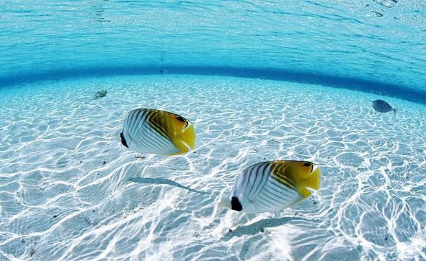 Bir zaman sonra, erkekler de kular gibi uabilecek ve balk gibi denizin dibine inebilecek. Tm bu felaketler meydana geldikten sonra, Bu mutsuz insanlar Deccal'in aldatmalarn farketmeden hayatlarna devam edecekler.