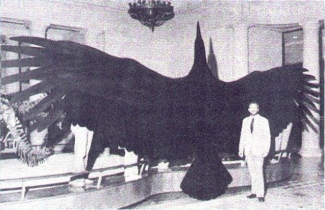 D&uuml;nyann en b&uuml;y&uuml;k kuu<br /> &nbsp;  1979 ylnda Arjantin&#8217;de bulunan ku fosilinin bilimsel ad, &#8216;argentavis magnificens&#8217;. Bilimadamlar bu kuun gezegenimizde 6 milyon yl nce yaadn dnyor. Kanat genilii 6-8, uzunluu ise 2 metre. Ancak bir bilimkurgu filminde grebileceimiz trden, deil mi?