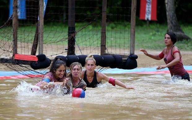 te Survivor'daki yarmalardan kareler...