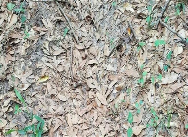 2. Siz de gremediniz deil mi? Biraz da yle bakn.