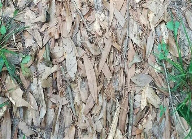 3. Bu fotoraftan grdnz m?