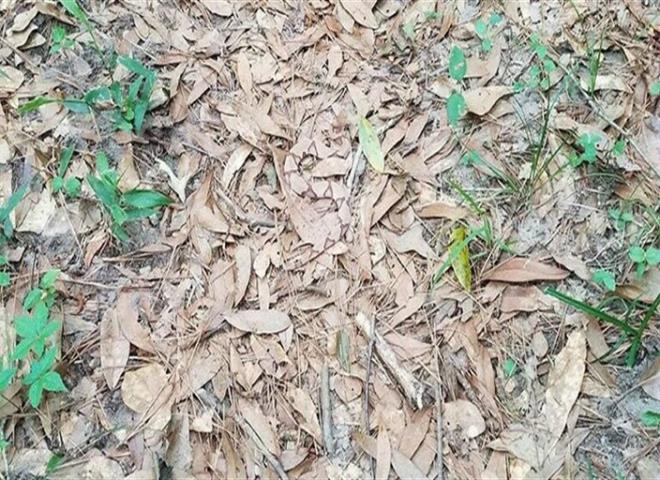 4. imdi de mi gremediniz?