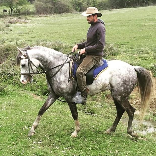 Cemal Hnal<p>    "Aleppo ile arazi"