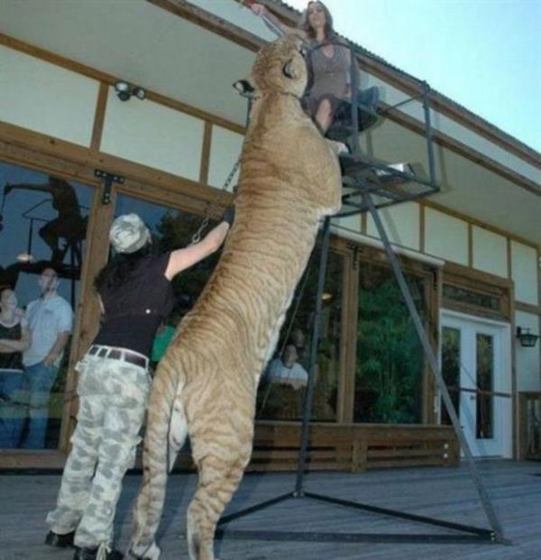 te dnyann drt bir yannda ekilen nefes kesen anlar...