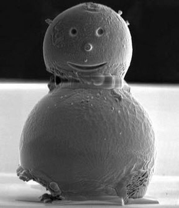 Dnyann en kk kardan adam... Sadece bir insan sann yzde 20'si byklnde...