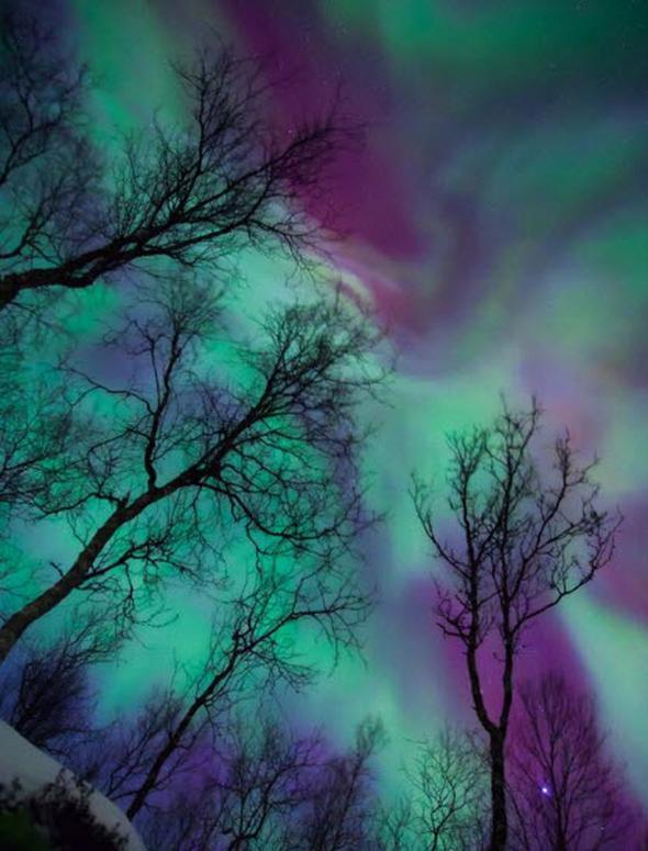 Norve'te kuzey klar...    Fotoraf: Anders Hanssen