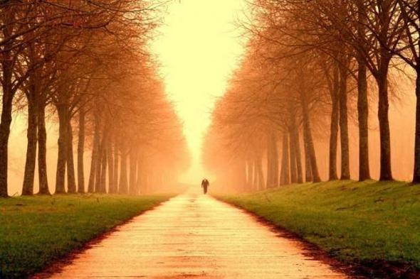 Ortalama bir insan, mr boyunca dnyann evresini yaklak  defa dolaacak kadar yrr.