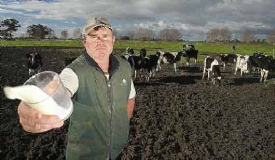 Mand�ra �if�ili�i    Y�ll�k geliri: 65 bin 250 Dolar