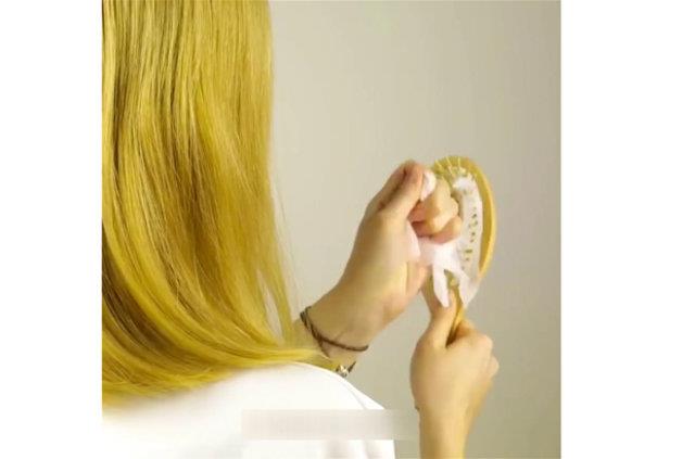 Taraklardaki kllar mendili karnca, mendil ile birlikte kacaktr.