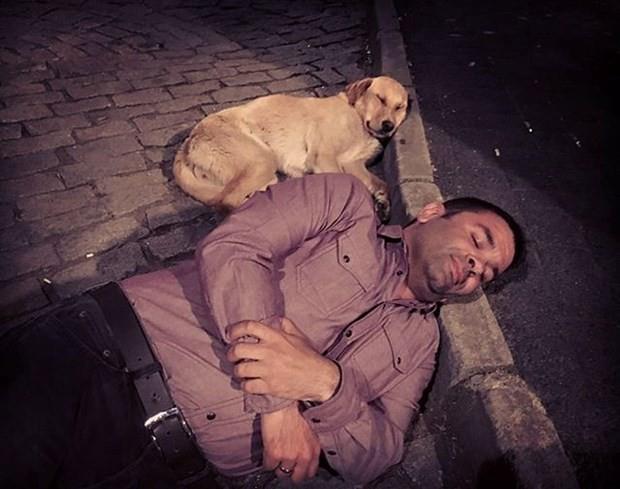 Blent akrak    "Sokak sakinleri..!"