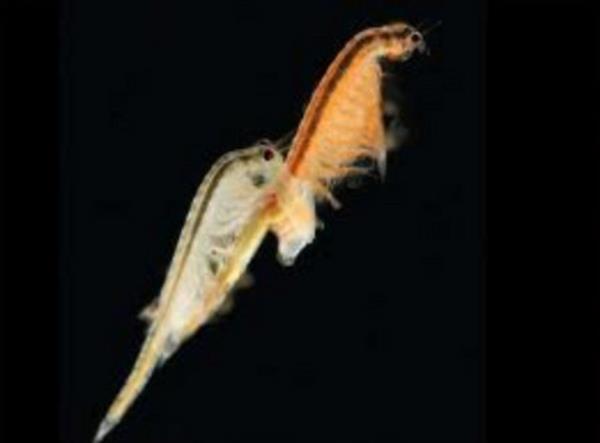 irketteki en gvendii yardmclarnn binlerce kez sormalarna ramen de hep reddetti...