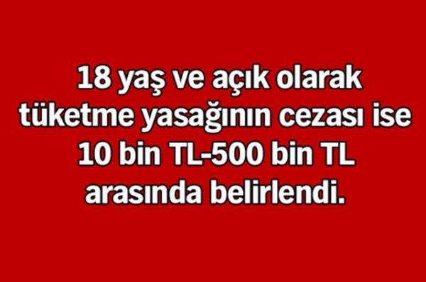 ki satnn yasaklanmasn dzenleyen maddesi, 9 Eyll Pazartesi itibariyle yrrle girecek.