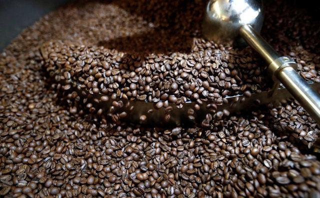 7-Karacierinizi korur.