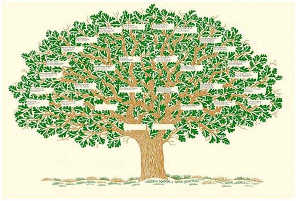 ecere bulma    Kii ba yllk kazan: 166.898