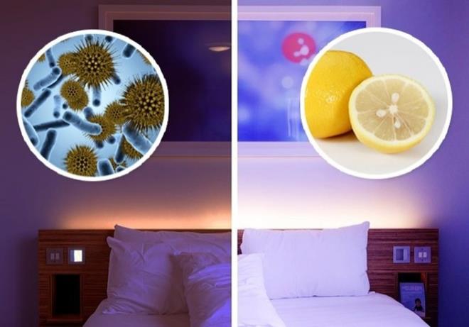 Limonun ho aromasnn yan sra anti-bakteriyel zellii var ki bu da havadaki kt kokuyu, mikroplar ve bakterileri temizlemesine yardmc oluyor.  <br>  Bu zelliiyle burun tkanklna da iyi geliyor.<br>    Hem burnunuzu ayor hem de daha fazla tkanmasn nlyor.<br>    E tabii, tm solunum yollarn at iinde horlamay engelliyor.