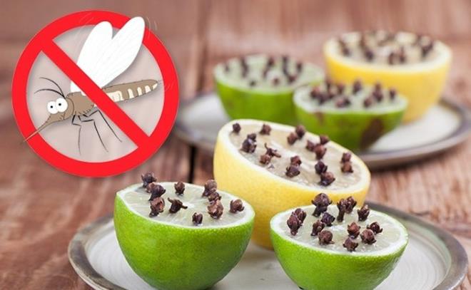 Sivrisinekler, rmcekler ve karncalar limon kokusundan hi mi hi holanmyorlar.<br>    Dolaysyla limon olan yere asla yaklamyorlar.<br>    Bcek ilalarna para harcamaktansa limonu ila olarak kullanmak daha hesapl ve mantkl.<br>    Daha da iyi sonu almak isterseniz limonu ortadan ikiye kesip iine karanfiller saplamay deneyin