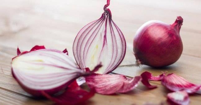 Safra kesesi salgsn arttran zellie sahiptir ki bu da safra kesesinde ta oluumunu byk oranda nler.