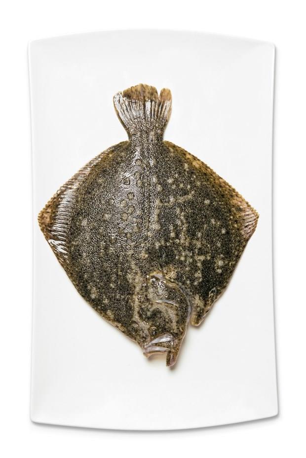 Tandrda Kalkan | stanbul<p>  Kalkann en yal olduu zamanlarda sofralar  neelendiren, stanbul havasn tayan tat.