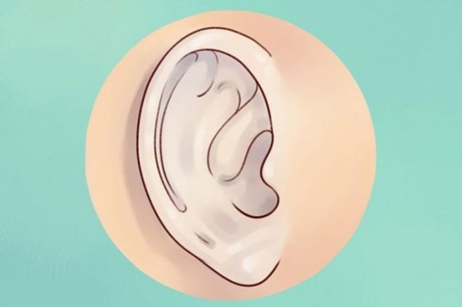 Eer kulanz ok soluk renkte ise yeterli miktarda vitamin, kalsiyum aldnzdan emin olmalsnz.