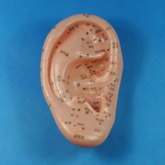 Kulak refleksolojisi, stres ve ardan kurtulmak iin el, ayak refleksolojisi kadar etkilidir.