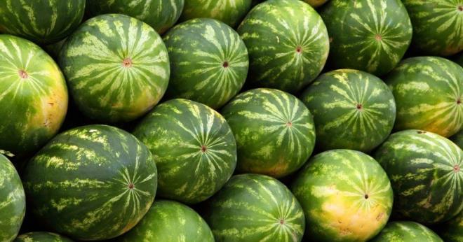 Karpuz ekirdei nasl tketilmeli?  <p>    lk olarak 2 litre suyu kaynatn. erisine 20 ve 30 adet karpuz ekirdei ekleyin. 15 dk kaynattktan sonra bir dilim karpuzla ekirdekleri blenderdan geirin.  <p>  Sabahlar a karnna ya da kahvaltdan yarm saat sonra bu ay iebilirsiniz