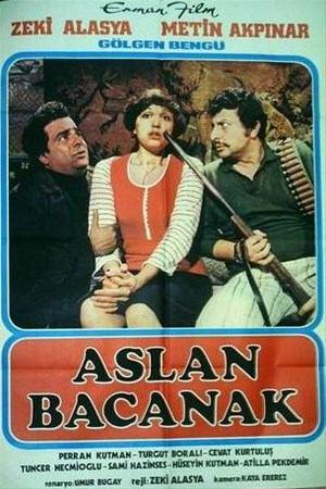Son olarak 1977 yapm Aslan Bacanak filminde Halim'in kardei rolnde izlediimiz Beng, daha sonra sinemadan koparak akademik kariyerine arlk verdi.