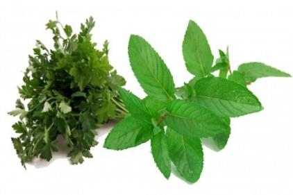 Nane-maydanoz: i olarak tketeceiniz birka yaprak nane veya birka dal maydanoz, nefesinizi doal olarak temizlemede etkilidir.