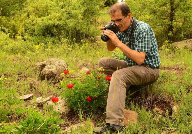 Bu yl baharn yal gemesi nedeniyle, haziran ortalarna kadar iek aan akayk trlerinin koruma altnda olduunu belirten Tekin, "Bu trn koparlmas halinde 42 bin liraya kadar idari para cezas uygulanacak." diye konutu.