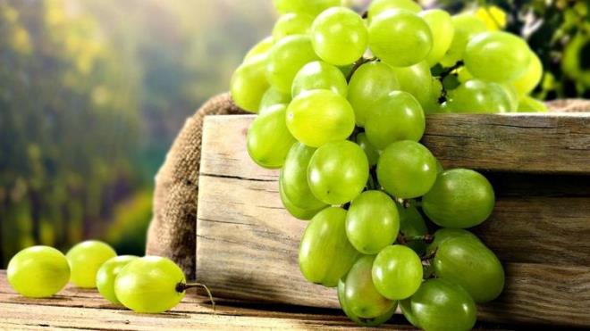 Kt kolesterol drr. Kanseri nler.