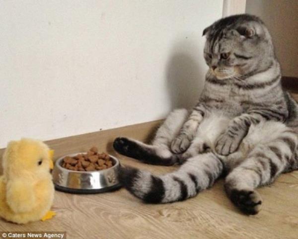 Banyoda, mutfakta, salonda, sandalyede oturan Niki'nin fotoraflar da Instagram'da byk beeni toplad.