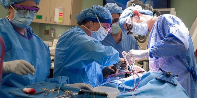 8. nsan vcudundaki tm sinirlerin toplam uzunluu 75 kilometre.