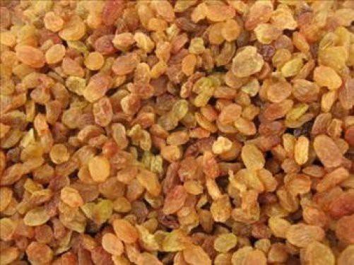 Kuru zm, bozulmamas iin kurutmadan nce mazota bulanyor.