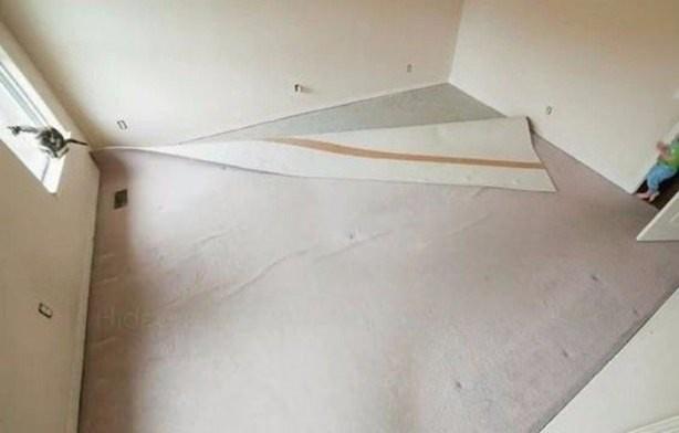 Bir adam ei evde yokken ona ok sevinecei bir srpriz hazrlamak istedi. Eski yatak odalarn batan aaya tadilatla yenileyen adam, yaptklarn adm adm kaydetti.