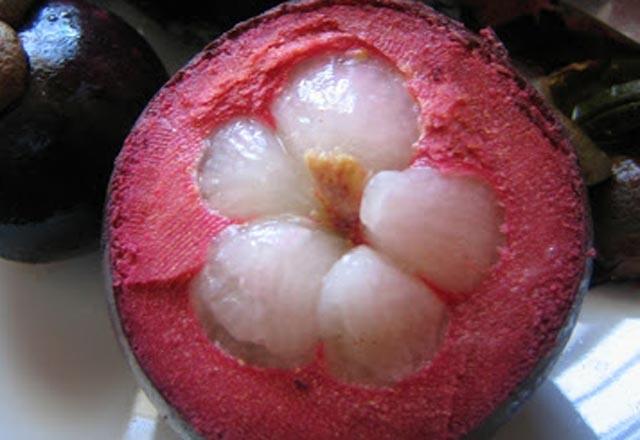 100 gramnda bile yksek miktarda C vitamini bulunmaktadr. erdii yksek miktarda C vitamini vcut direncinin artmasna yardmc olur.  <p>  Hamile kalmak isteyen kadnlarn bol miktarda tketilmesi nerilir.  erdii yksek miktarda C vitamini sayesinde erkeklerde iktidarszla ve sprem saysn arttrmada etkili olduu bilinmektedir.<p>