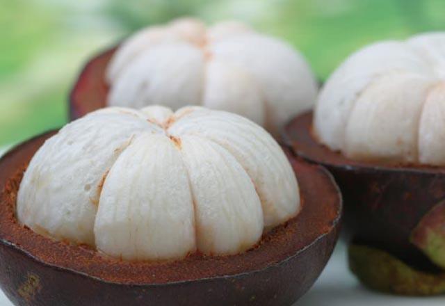 Kan akn dzenleyerek kolesterol seviyesini dengede tutmaya yardmc olur.  <p>  Baklk seviyesini glendiren Mangosteen, antibakteriyel ve antifungal zellii ile tberkloz hastalndan korur.