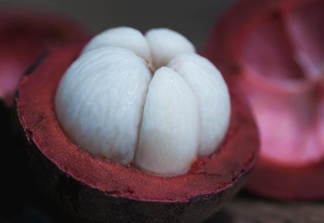 Bileiminde bulunan polifenol ile gl bir antitoksidan olma zellii tayan Mangosteen, yalanmay yavalatr.