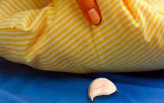 Sarmsa, yastn altna koyarak uyumann pek ok faydas olduuna inanlyor. Eer uyku problemi yayorsanz, yastnzn altna sarmsak koyarak uyuyun. Koku ilk bata sizi rahatsz etse de sarmsak sayesinde uykunuzu daha iyi aldnz fark edeceksiniz.